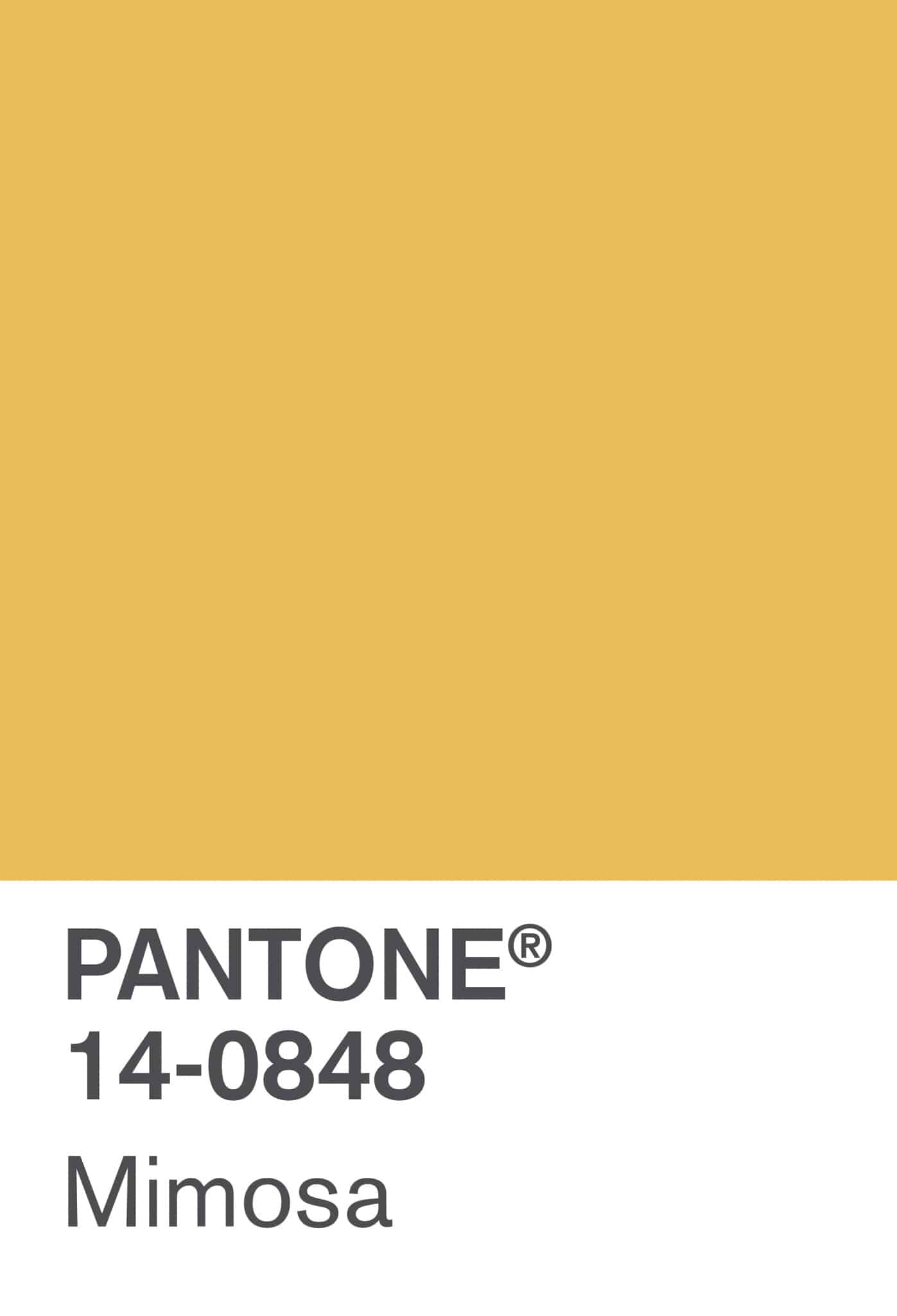 2009 Mimosa-min - PANTONE