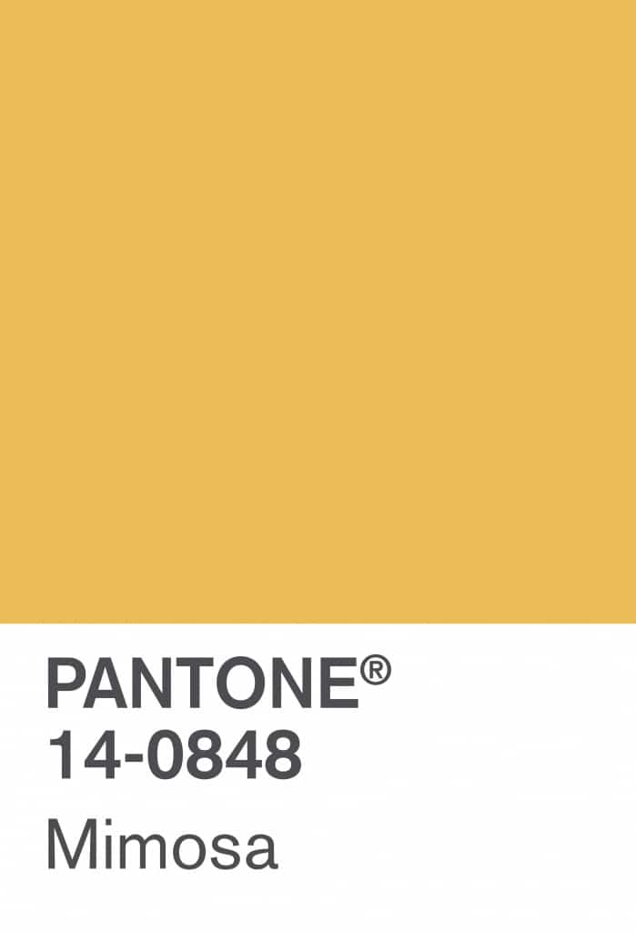 2009 Mimosa-min - PANTONE